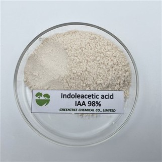 CAS 87-51-4 Iaa 98 प्रतिशत Tc उच्च गुणवत्ता वाला पौधा विकास पाउडर इंडोल -3- एसिटिक एसिड 98 प्रतिशत Tc